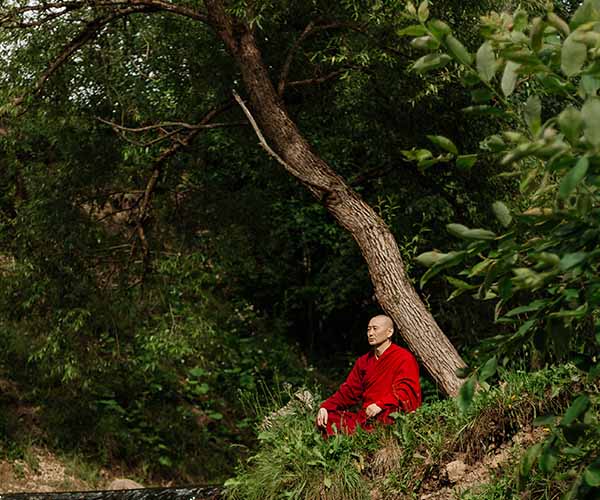 Calmness & Simplicity of a Buddhist monk