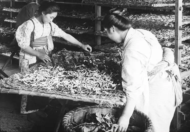 China Silk Manufacturing in 1900s